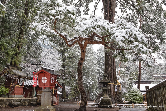 travelyesplease.com | Fujiyoshida Sengen Shrine- The Traditional Starting Point for Climbing Mt. Fuji