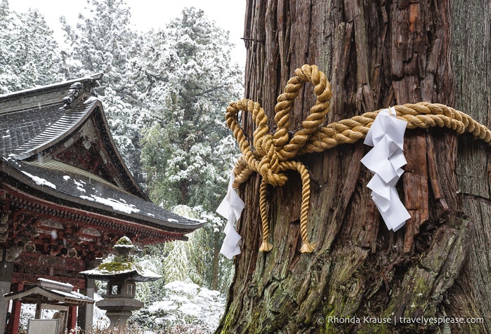 travelyesplease.com | Fujiyoshida Sengen Shrine- The Traditional Starting Point for Climbing Mt. Fuji