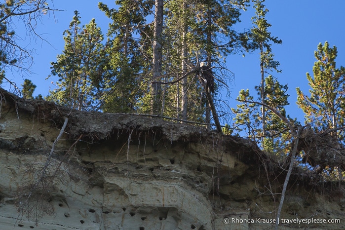 travelyesplease.com | Canoeing the Yukon River- Whitehorse to Takhini River