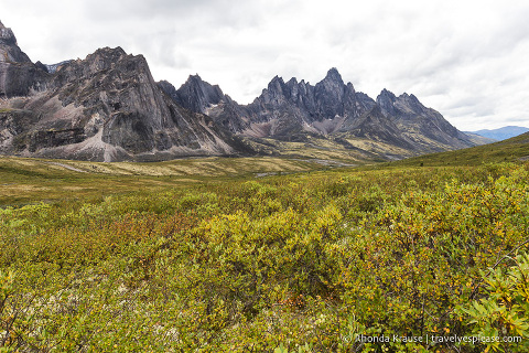travelyesplease.com | How to Spend a Week in the Yukon- Unforgettable Experiences in Canada's Northwest