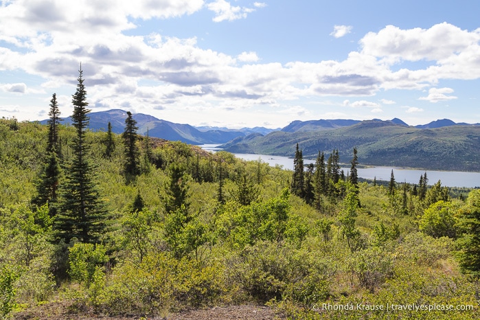 travelyesplease.com | How to Spend a Week in the Yukon- Unforgettable Experiences in Canada's Northwest