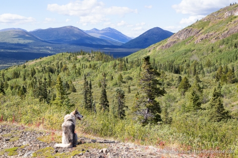 travelyesplease.com | How to Spend a Week in the Yukon- Unforgettable Experiences in Canada's Northwest