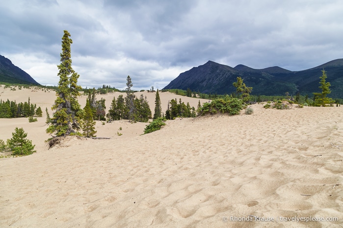 travelyesplease.com | How to Spend a Week in the Yukon- Unforgettable Experiences in Canada's Northwest