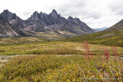 travelyesplease.com | The Yukon's Tombstone Territorial Park- Flightseeing and Landing Tour