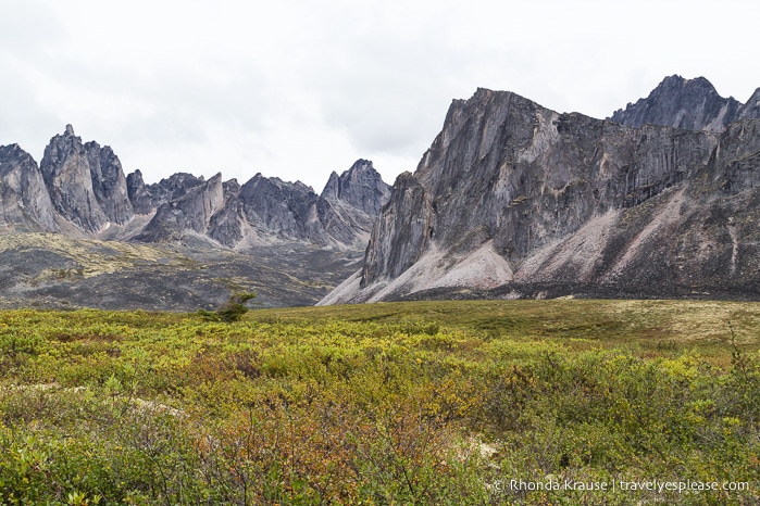 travelyesplease.com | The Yukon's Tombstone Territorial Park- Flightseeing and Landing Tour