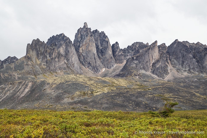 travelyesplease.com | The Yukon's Tombstone Territorial Park- Flightseeing and Landing Tour