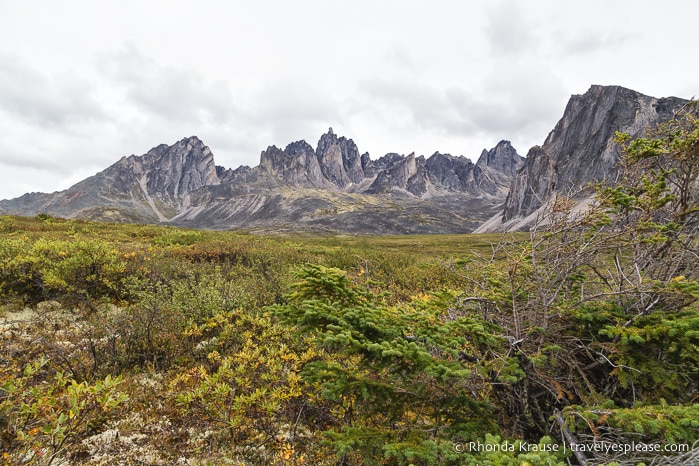 travelyesplease.com | The Yukon's Tombstone Territorial Park- Flightseeing and Landing Tour