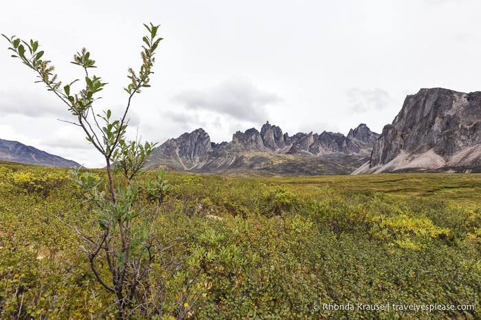 travelyesplease.com | The Yukon's Tombstone Territorial Park- Flightseeing and Landing Tour