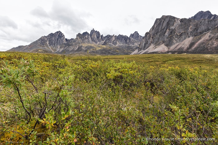 travelyesplease.com | The Yukon's Tombstone Territorial Park- Flightseeing and Landing Tour