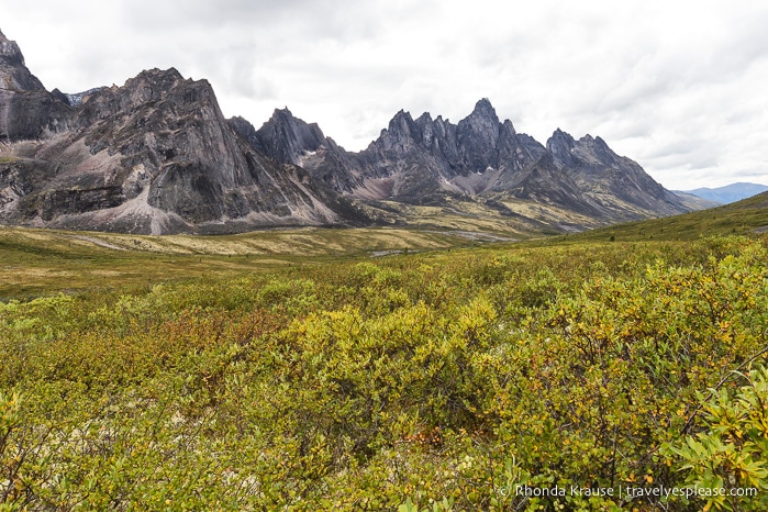 travelyesplease.com | The Yukon's Tombstone Territorial Park- Flightseeing and Landing Tour