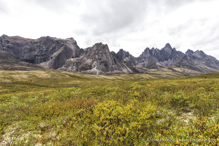 travelyesplease.com | The Yukon's Tombstone Territorial Park- Flightseeing and Landing Tour