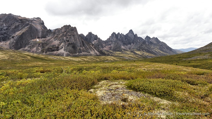 travelyesplease.com | The Yukon's Tombstone Territorial Park- Flightseeing and Landing Tour