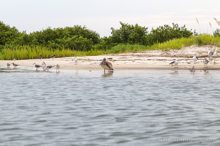 travelyesplease.com | Romantic St. Augustine- Our Favourite Activities for Romance