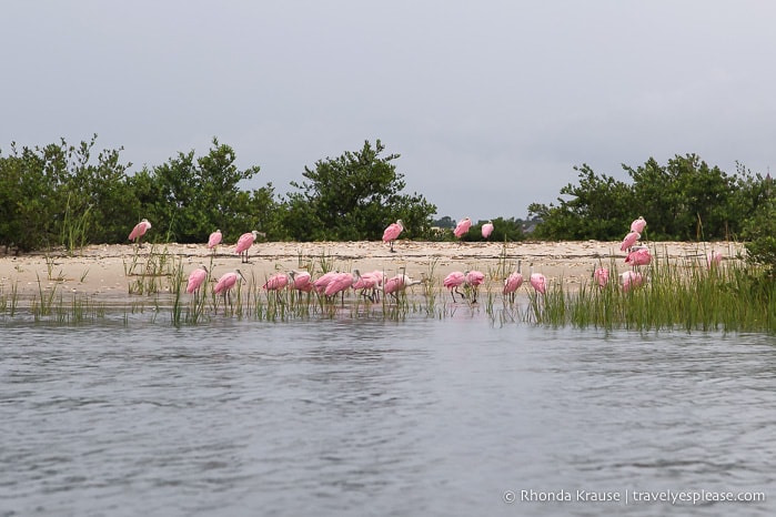 travelyesplease.com | Romantic St. Augustine- Our Favourite Activities for Romance