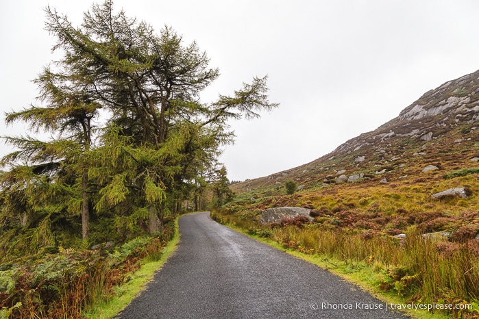 travelyesplease.com | 2 Week Ireland Road Trip Itinerary