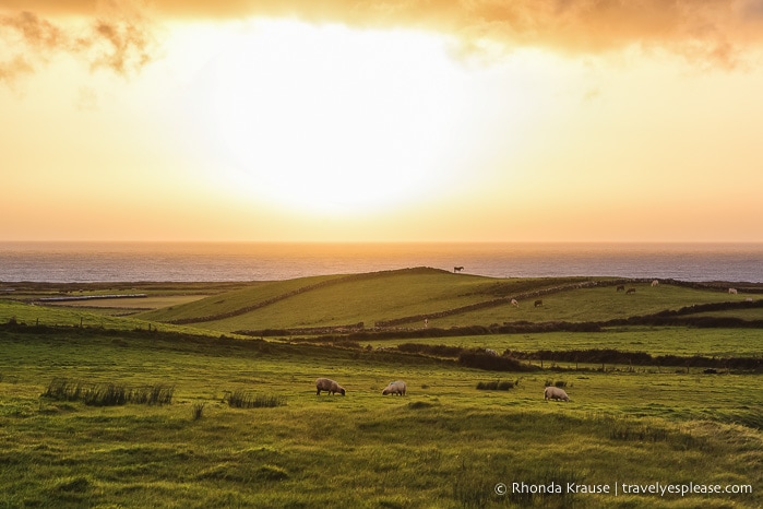 travelyesplease.com | 2 Week Ireland Road Trip Itinerary