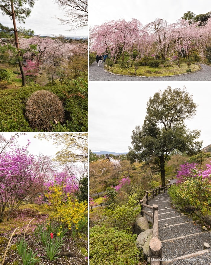 travelyesplease.com | Exploring the Arashiyama District of Kyoto