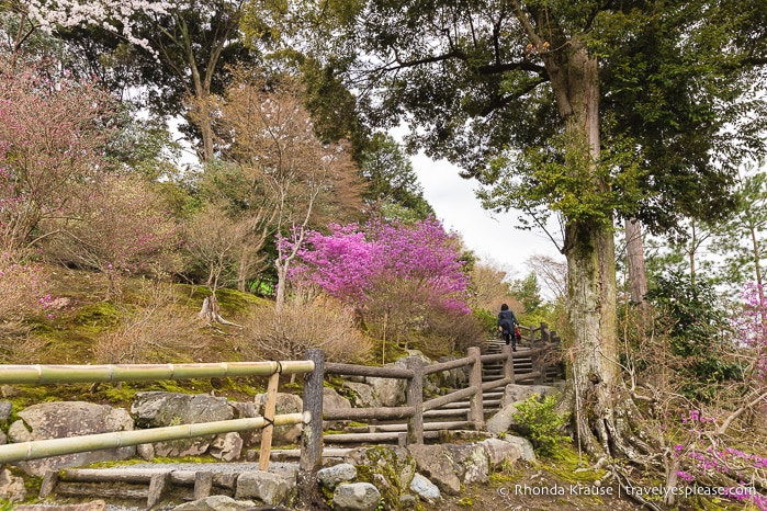 travelyesplease.com | Exploring the Arashiyama District of Kyoto