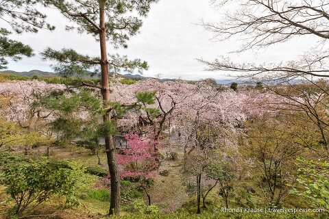 travelyesplease.com | Exploring the Arashiyama District of Kyoto