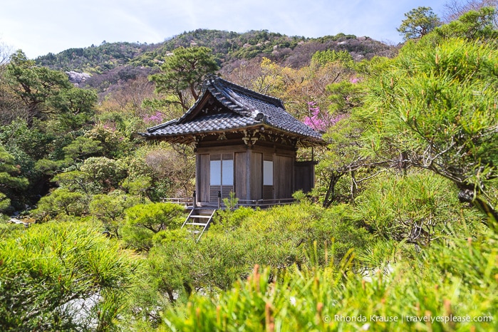 travelyesplease.com | Exploring the Arashiyama District of Kyoto