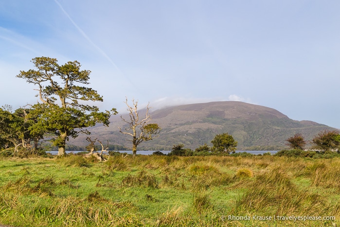 travelyesplease.com | Killarney National Park- Photo Series