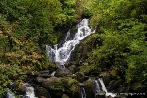 travelyesplease.com | Pictures of Killarney National Park, Ireland