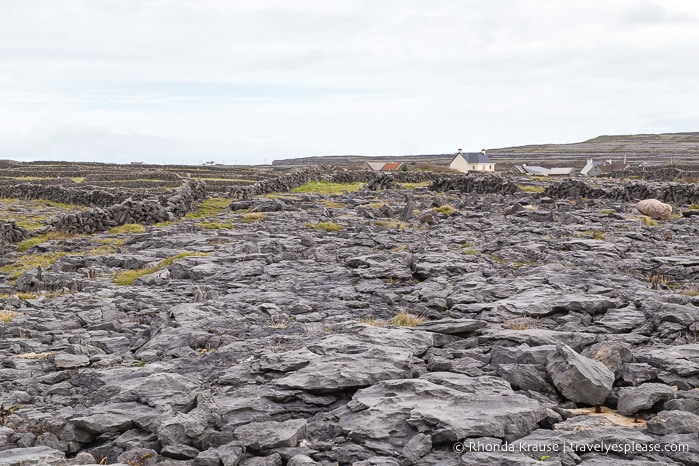 travelyesplease.com | Day Trip to Inishmore- The Largest of the Aran Islands