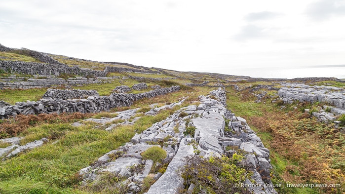 travelyesplease.com | Day Trip to Inishmore- The Largest of the Aran Islands