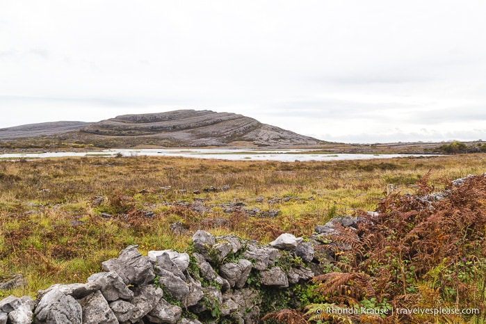 travelyesplease.com | Burren National Park Walks- Hiking Mullaghmore Loop