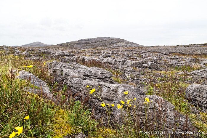 travelyesplease.com | Hiking in Burren National Park- An Unexpected Landscape in Ireland