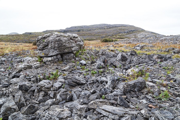 travelyesplease.com | Hiking in Burren National Park- An Unexpected Landscape in Ireland