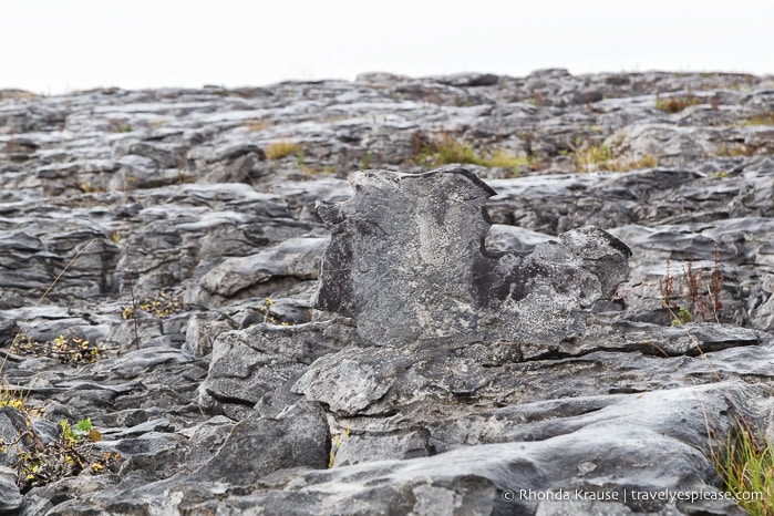 travelyesplease.com | Hiking in Burren National Park- An Unexpected Landscape in Ireland