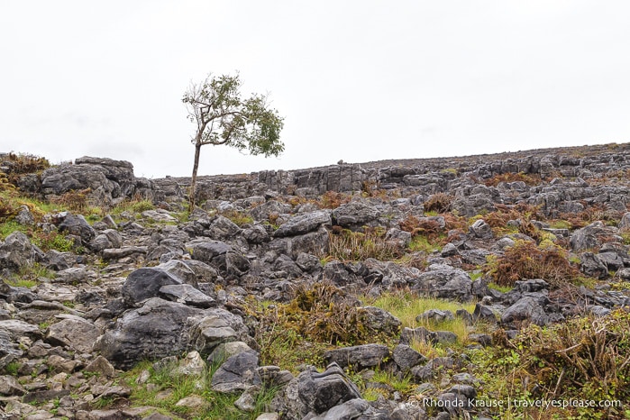 travelyesplease.com | Hiking in Burren National Park- An Unexpected Landscape in Ireland