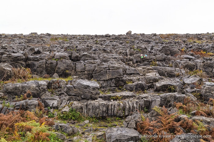 travelyesplease.com | Hiking in Burren National Park- An Unexpected Landscape in Ireland