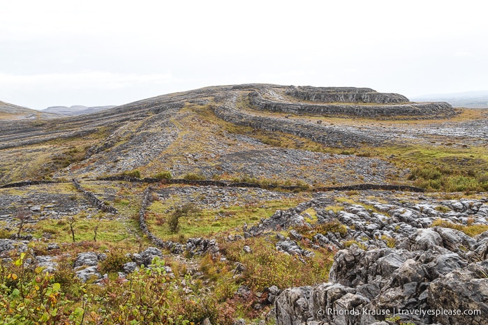 Hiking in Burren National Park- An Unexpected Landscape in Ireland