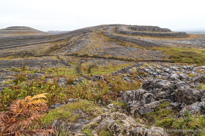 travelyesplease.com | Hiking in Burren National Park- An Unexpected Landscape in Ireland