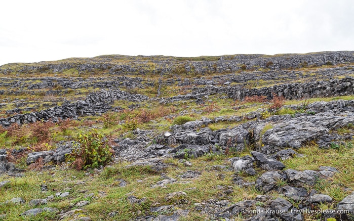 travelyesplease.com | Hiking in Burren National Park- An Unexpected Landscape in Ireland