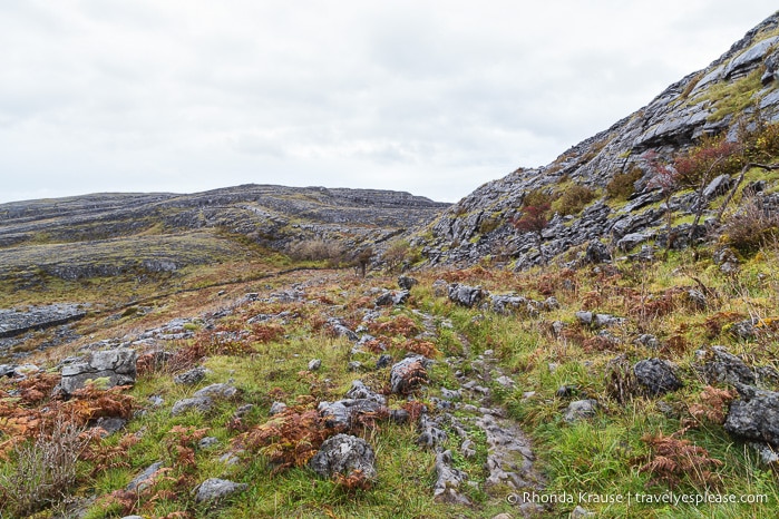 travelyesplease.com | Hiking in Burren National Park- An Unexpected Landscape in Ireland