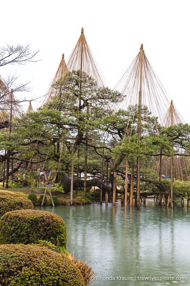 travelyesplease.com | 9 Ways to Experience Japanese Traditions in the Chubu Region of Japan