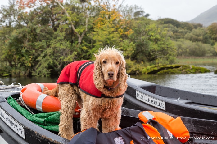 travelyesplease.com | Boat and Bike Trip to the Gap of Dunloe- Experiencing the Natural Beauty of Killarney