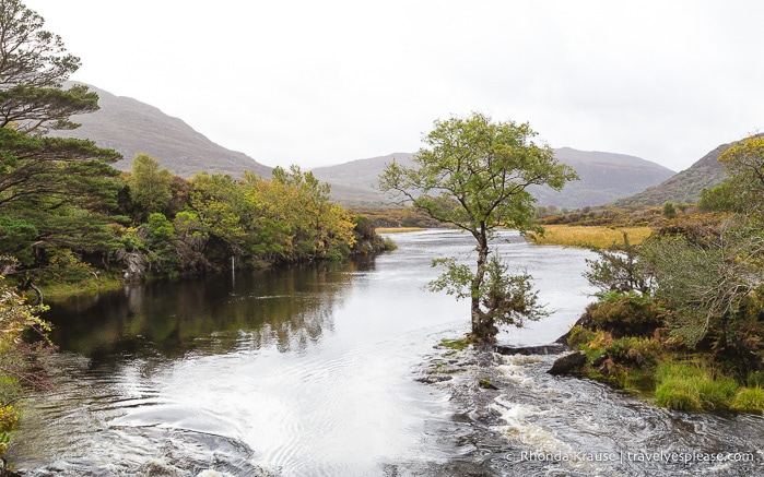 travelyesplease.com | Boat and Bike Trip to the Gap of Dunloe- Experiencing the Natural Beauty of Killarney