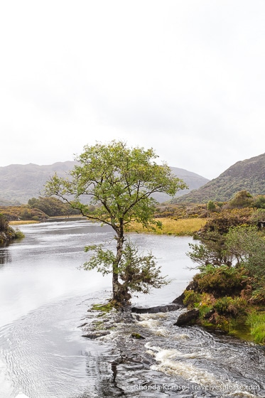 travelyesplease.com | Boat and Bike Trip to the Gap of Dunloe- Experiencing the Natural Beauty of Killarney