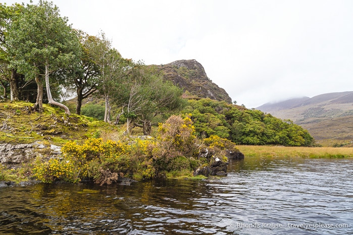 travelyesplease.com | The Gap of Dunloe- Boat and Bike Trip From Killarney, Ireland