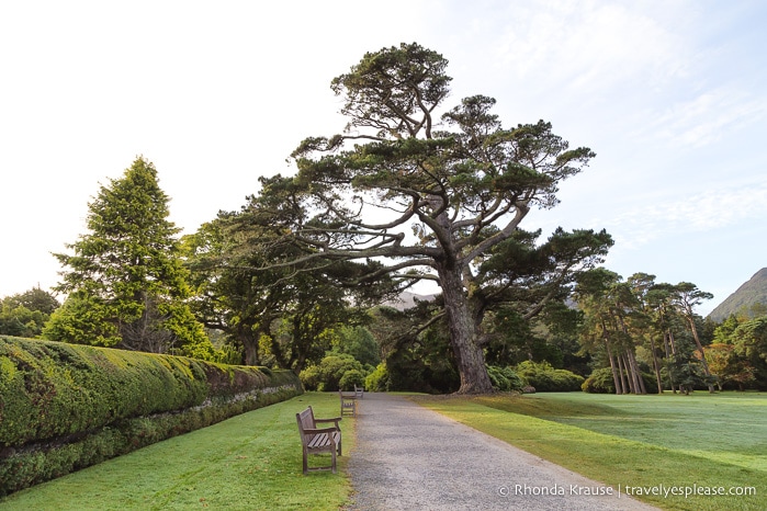 travelyesplease.com | Killarney National Park- Photo Series