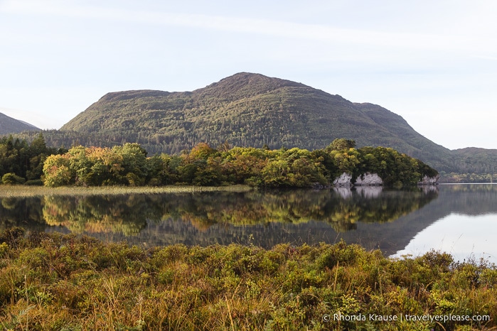 Killarney National Park, Ireland- Photo Series