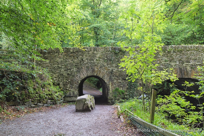 travelyesplease.com | Killarney National Park- Photo Series