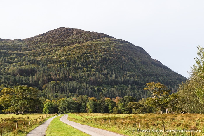 travelyesplease.com | Killarney National Park- Photo Series