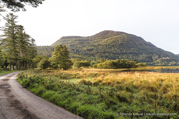 travelyesplease.com | Pictures of Killarney National Park, Ireland