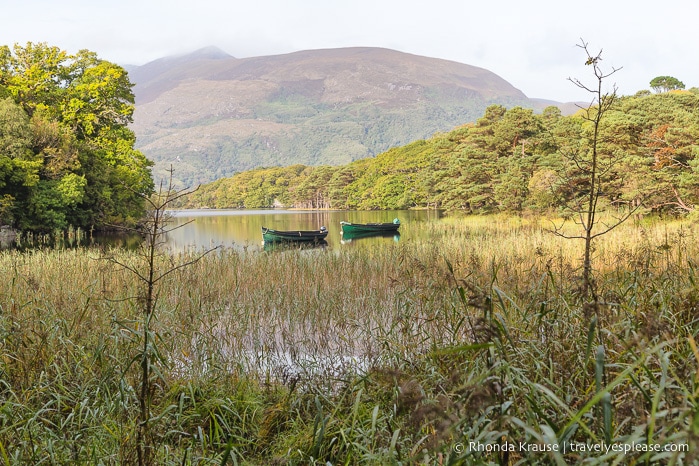 travelyesplease.com | Pictures of Killarney National Park, Ireland