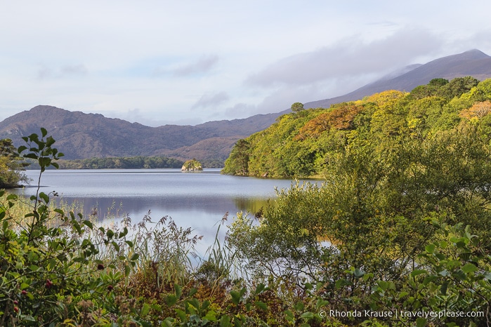 travelyesplease.com | Killarney National Park- Photo Series